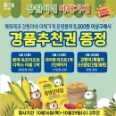 강원야채