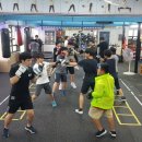 팀타이거복싱짐 이미지