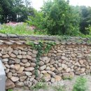 도룡마을 이미지