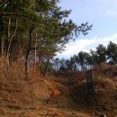 서천 건지산성 이미지