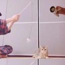 오리야오리 이미지