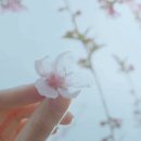 공존스토리 이미지