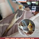 동면농협하나로마트 이미지