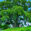 11620-10-51-7 이미지