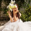 박영준길 이미지