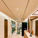 제주복어 이미지