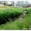 천안천8길 이미지