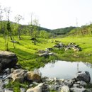 송백로-2 이미지