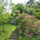 동막공원 이미지