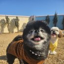 큰별유치원 이미지