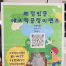 묵3리 | 묵리계곡 근처카페 장촌마을 묵3 MOOK3 다양한 체험도 할 수있는 곳
