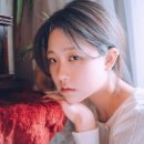 데이달리