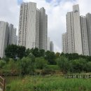 평촌스마트스퀘어 체육공원 앞 이미지