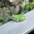 서연세탁소 | 8월 일기