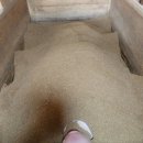 레피놀연구개발센터 | 의정부 효소 찜질 힐링과학연구센터 편백효소찜질 본점 방문기