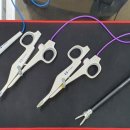 밤비동물병원 이미지