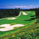 파인밸리 이미지