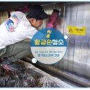 예쓰요양병원 | [경기 의정부] 요양병원 주방 조리실 후드 청소! 조리실 벽면과 환풍구까지 깨끗하게 청소 완료!