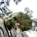 곰바위산장 | 서울 수락산 백패킹 후기②