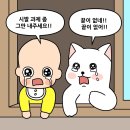 신포차 네이버블로그