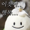 그라치에