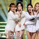 스텔라 이미지