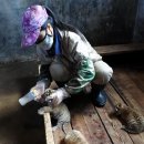 해림민박 이미지