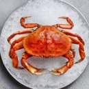 허니크랩 이미지