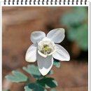 하늘빛농원 이미지