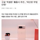 구글 '픽셀폰' 韓출시 추진…"외산폰 무덤인데" 이미지