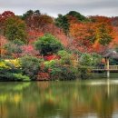 소문난집 이미지