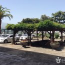 서귀포시삼매봉도서관 이미지