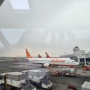 해 호텔 | 우진해장국. 스타벅스 제주서해안로 DT점, 서머셋 신화월드 리조트. 횟집학개론