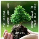 태평로 이미지