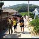 김영농장 이미지