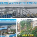 블루콘텔 이미지