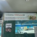 명가 무안뻘낙지 | [무안 맛집] 낙지명가 - 광주 근교 뻘낙지거리 연포탕 낚지볶음 찐맛집 후기