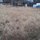 길상면-9 이미지