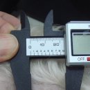 얼바인동물병원 이미지