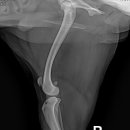 당감동물병원 이미지