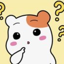 돈가스이야기 이미지