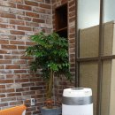 무주농협 안성지점 이미지