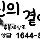 곁애 이미지