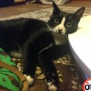 청덕물푸레9단지 이미지