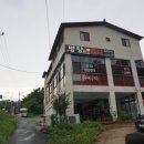 명량돼지 이미지