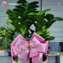 둔내파출소 이미지