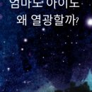 마미포레