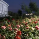 옹기꽃게장 이미지