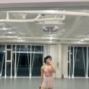 드로즈봉