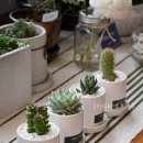 마이티농장 이미지